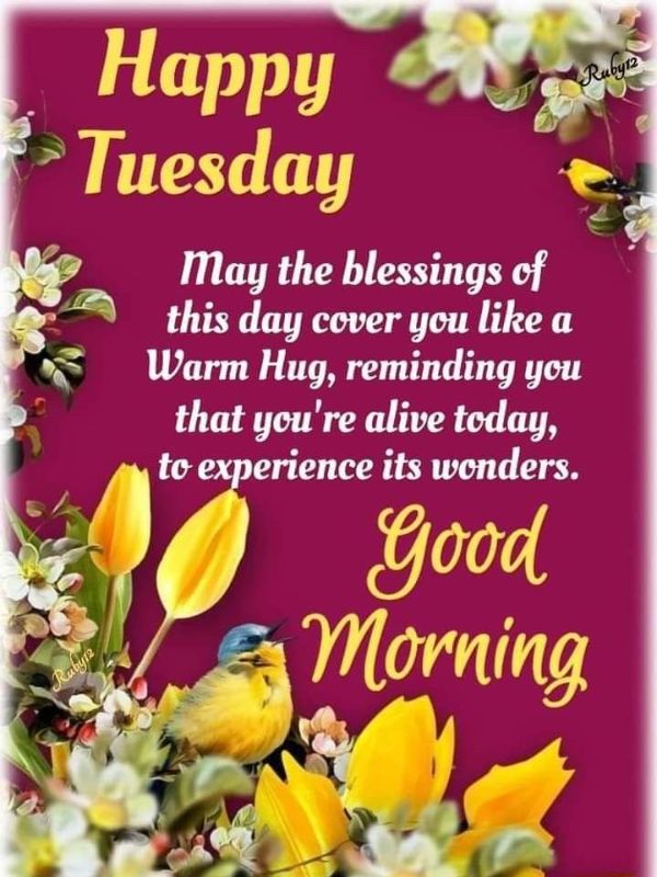 Happy Tuesday Blessings Images