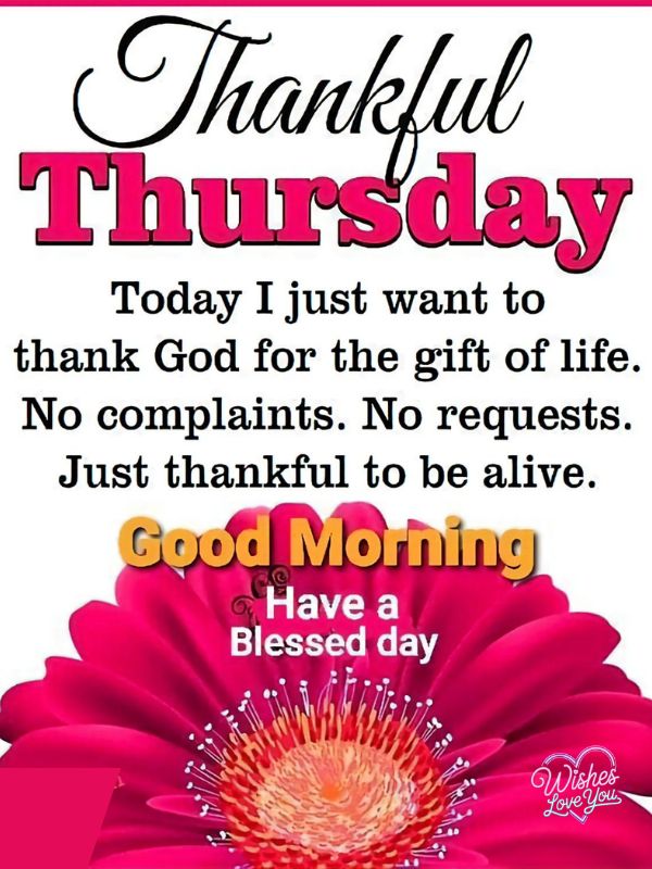 Thankful Thursday Blessings
