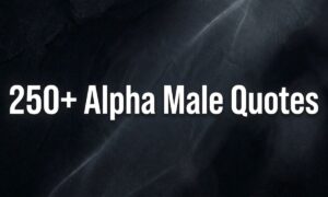 250+ Alpha Male Quotes